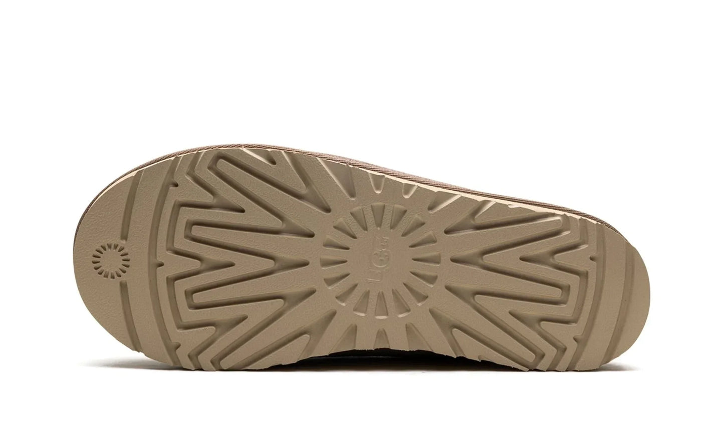 Tasman Slipper Caribou